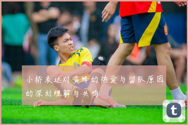 小桥表达对黄蜂的热爱与留队原因的深刻理解与共鸣